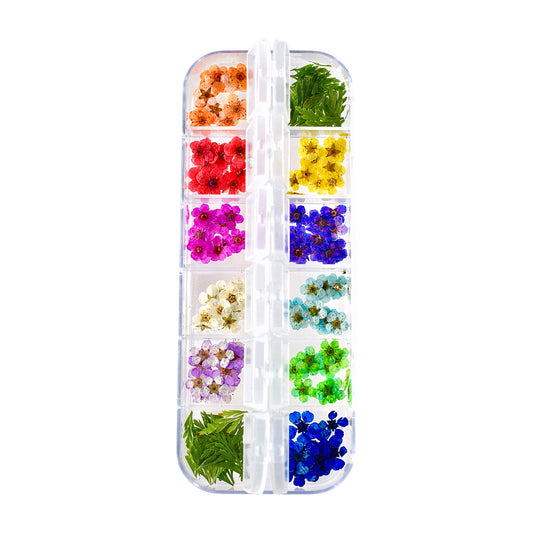 Dried Flower Set - 144pcs