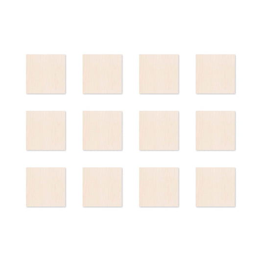 TF Mini 3.75 x 3.75 12-Pack