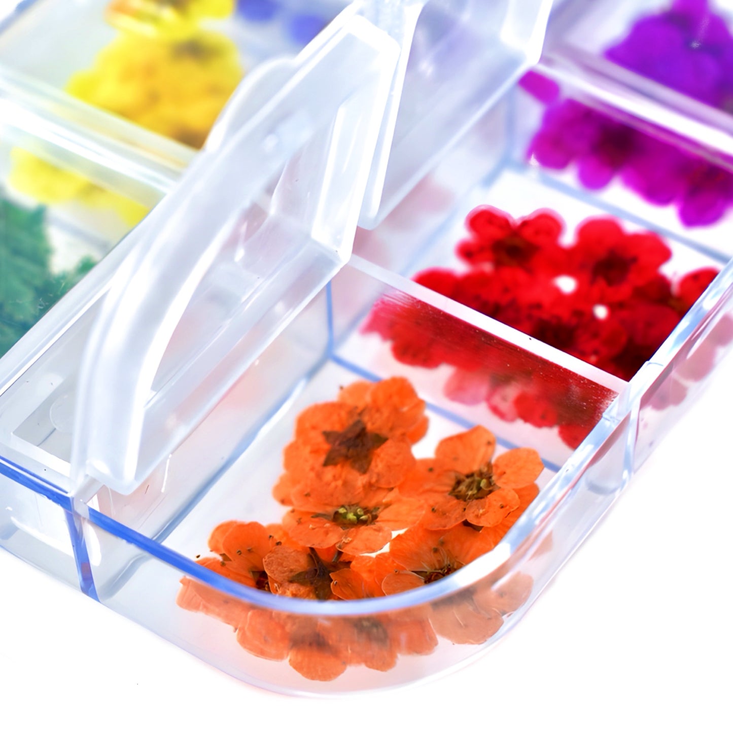 Dried Flower Set - 144pcs
